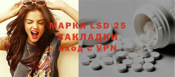 индика Гусиноозёрск
