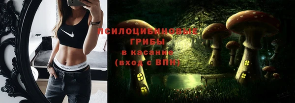 индика Гусиноозёрск