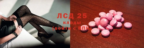 индика Гусиноозёрск