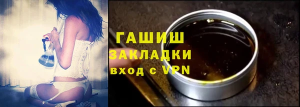 индика Гусиноозёрск