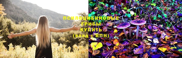 mix Дмитровск