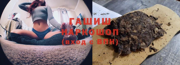 индика Гусиноозёрск