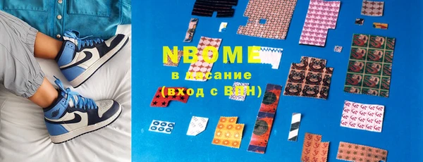 индика Гусиноозёрск