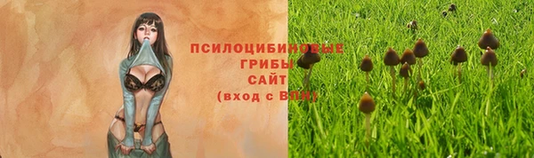 кокаин колумбия Дмитриев
