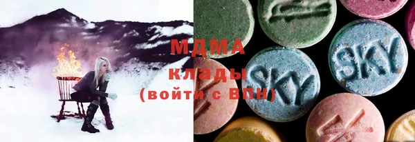 индика Гусиноозёрск