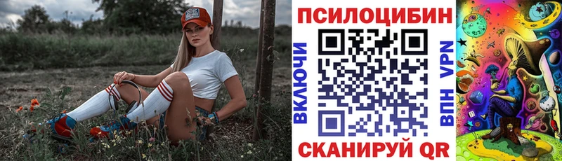 Псилоцибиновые грибы GOLDEN TEACHER  Дятьково 
